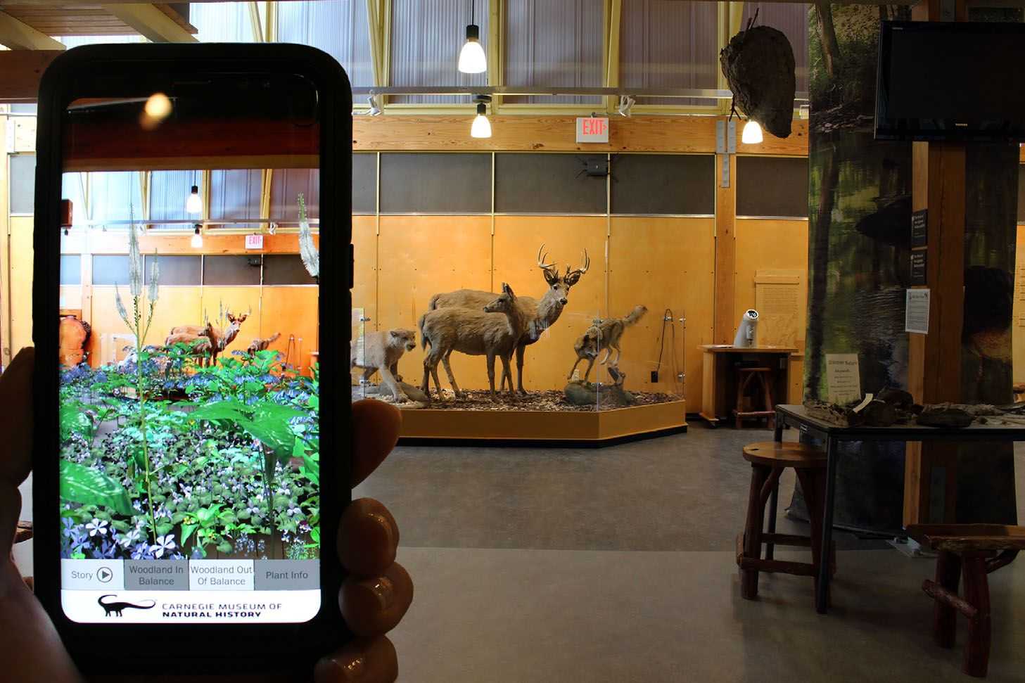 Augmented Reality Brings the Real World into Natural History Dioramas with Data Visualizations and Bioacoustics at the Carnegie Museum of Natural History